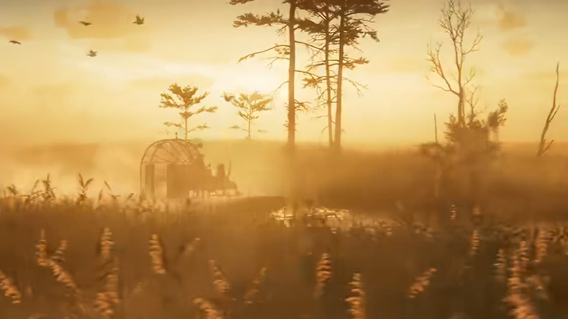 An airboat in a swamp in golden evening haze, with trees and birds overhead